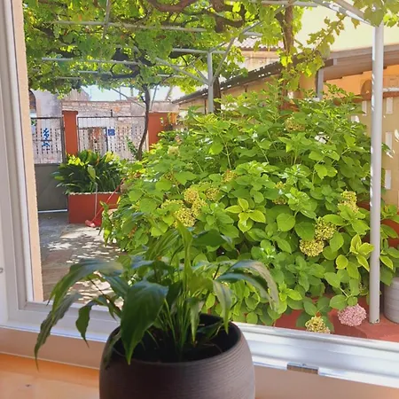 Kollmann Apartment Pula