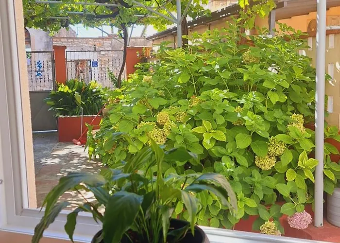 Kollmann Apartment Pula